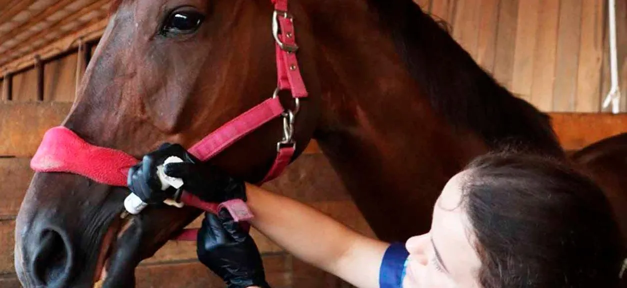 Департамент агропромышленного комплекса Тюменской области