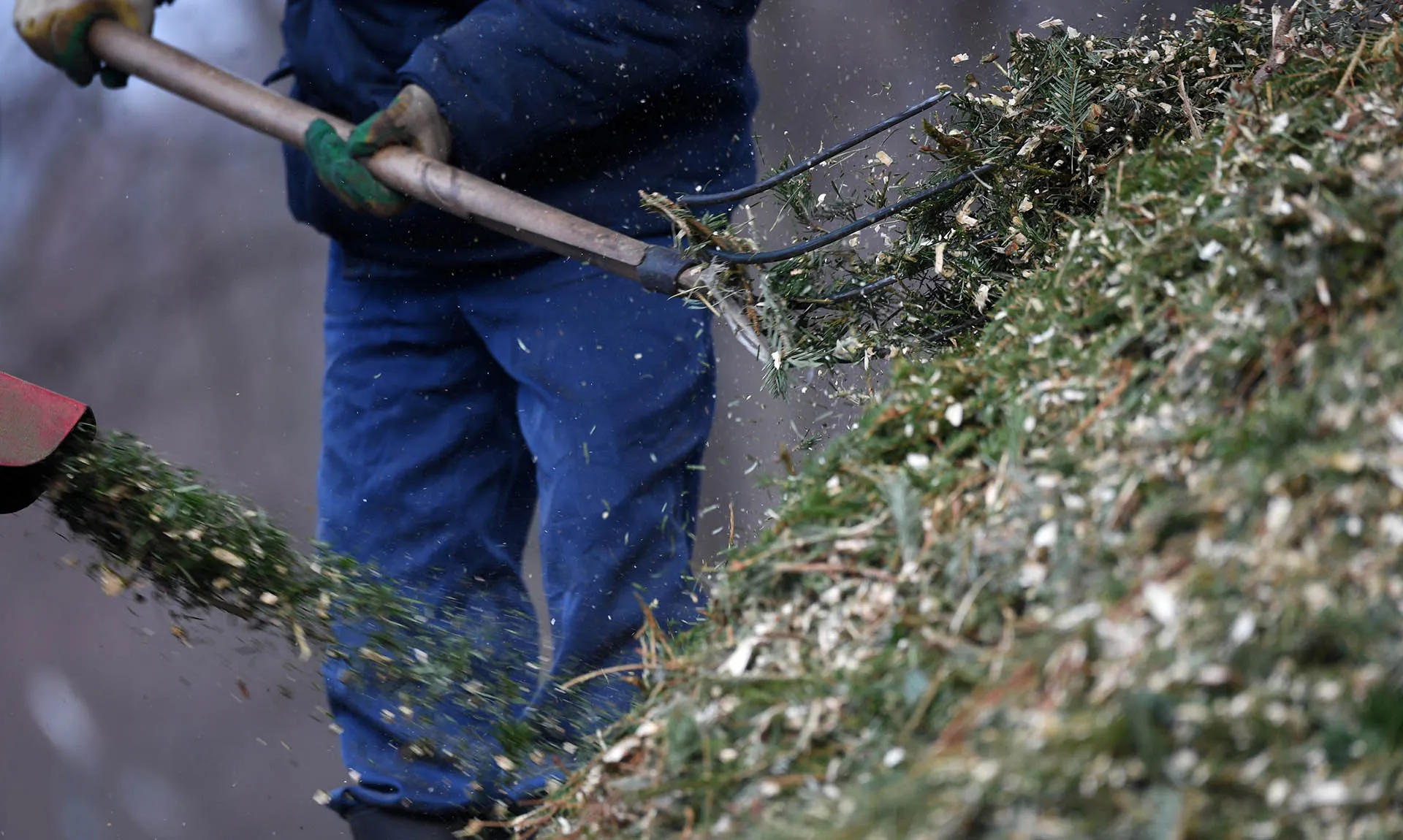 Кирилл Каллиников/РИА Новости 