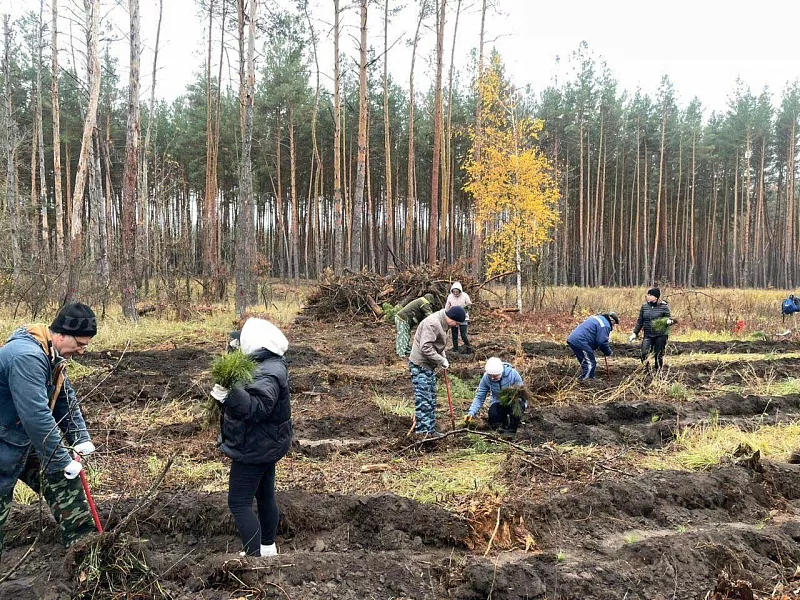 В&nbsp;Грибановском районе Воронежской области прошла акция &laquo;Сохраним лес&raquo;