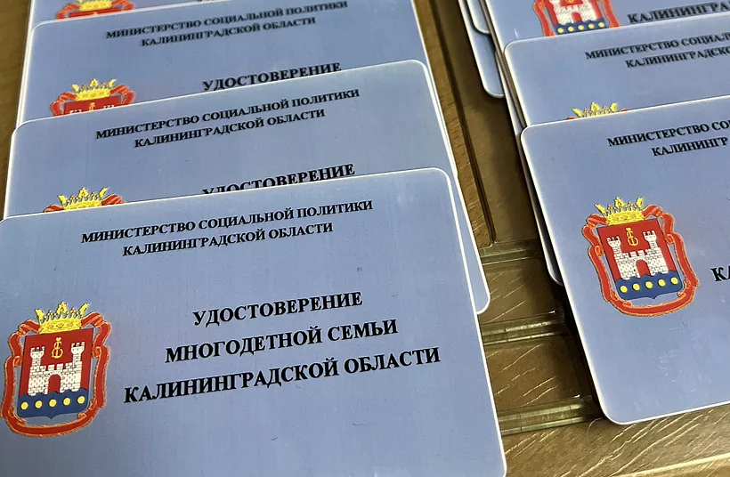 Около 17&nbsp;тысяч калининградских семей войдут в&nbsp;единый реестр многодетных