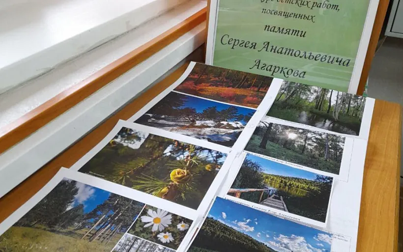 В&nbsp;Забайкалье проходит конкурс фотографий на&nbsp;тему сохранения лесов