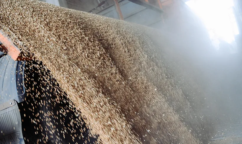 Чувашия в&nbsp;14&nbsp;раз нарастила экспорт зерна и&nbsp;продуктов его&nbsp;переработки