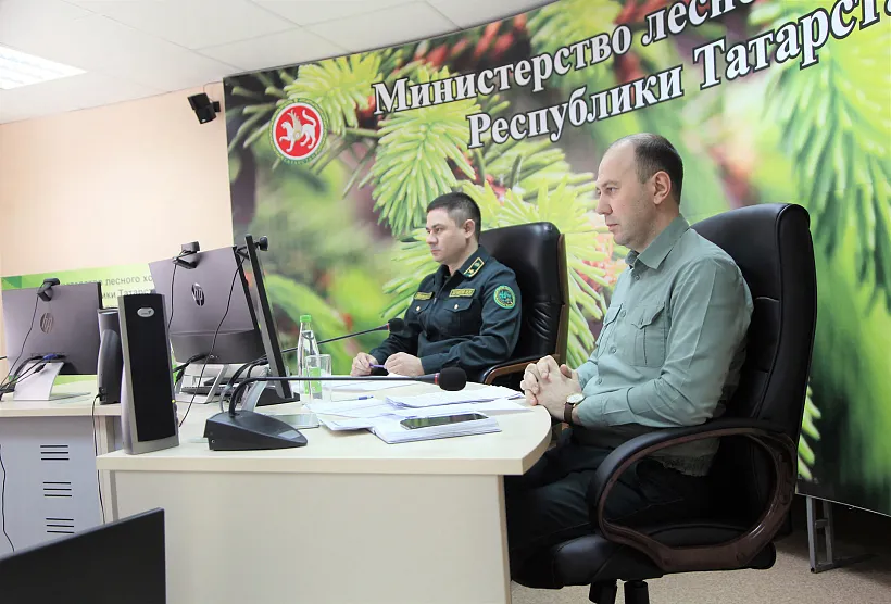 В&nbsp;Татарстане собрали 57&nbsp;тонн шишек для&nbsp;заготовки семян