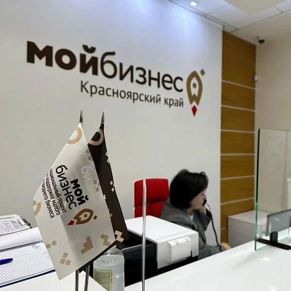 Предприниматели Красноярского края узнают о&nbsp;налоговых изменениях
