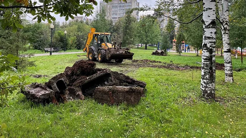 В&nbsp;Кочуровском парке Кирова построят площадку ГТО