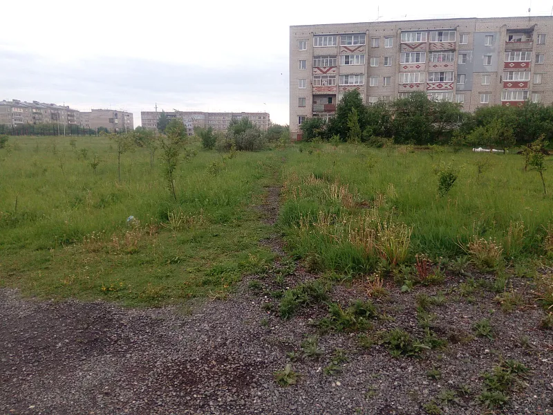 В&nbsp;Гороховце Владимирской области появится площадка для&nbsp;мероприятий