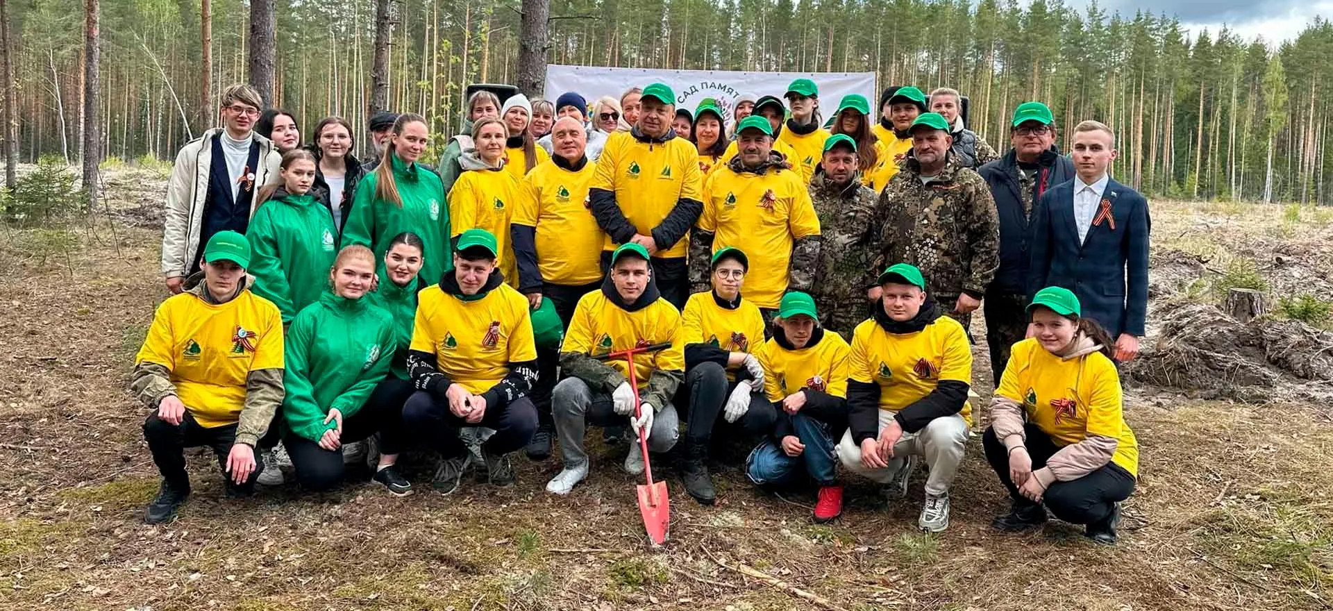 Министерство лесного хозяйства Владимирской области