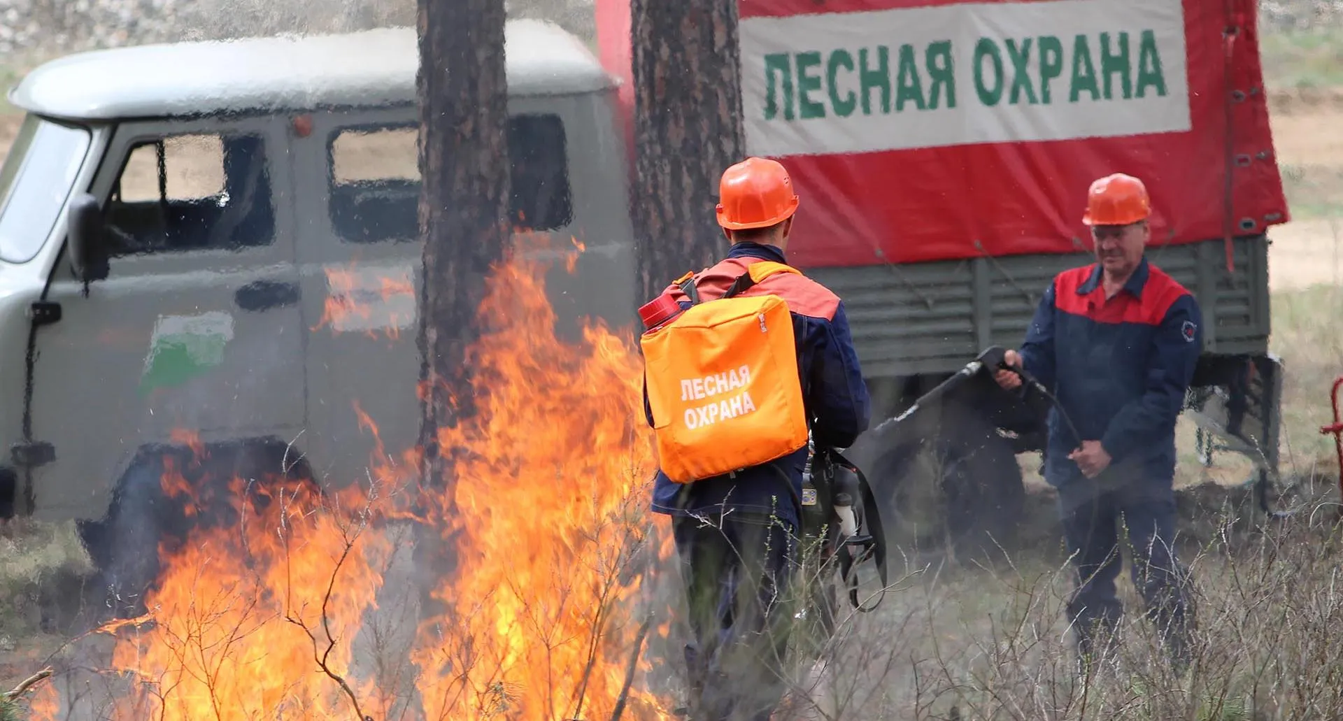 Министерство природных ресурсов и экологии Самарской области