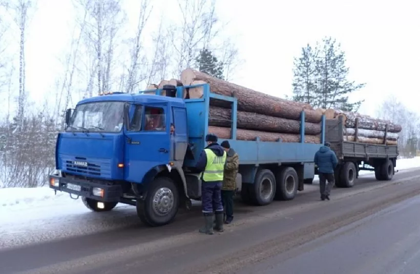 В&nbsp;Пензенской области проводят профилактику незаконной рубки леса