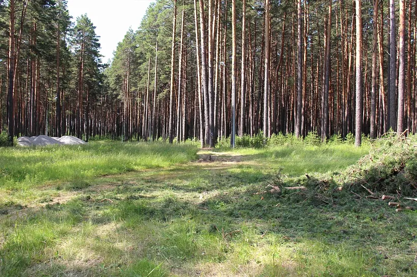 В&nbsp;Тавдинском округе Свердловской области оборудуют &laquo;Тропу здоровья&raquo;