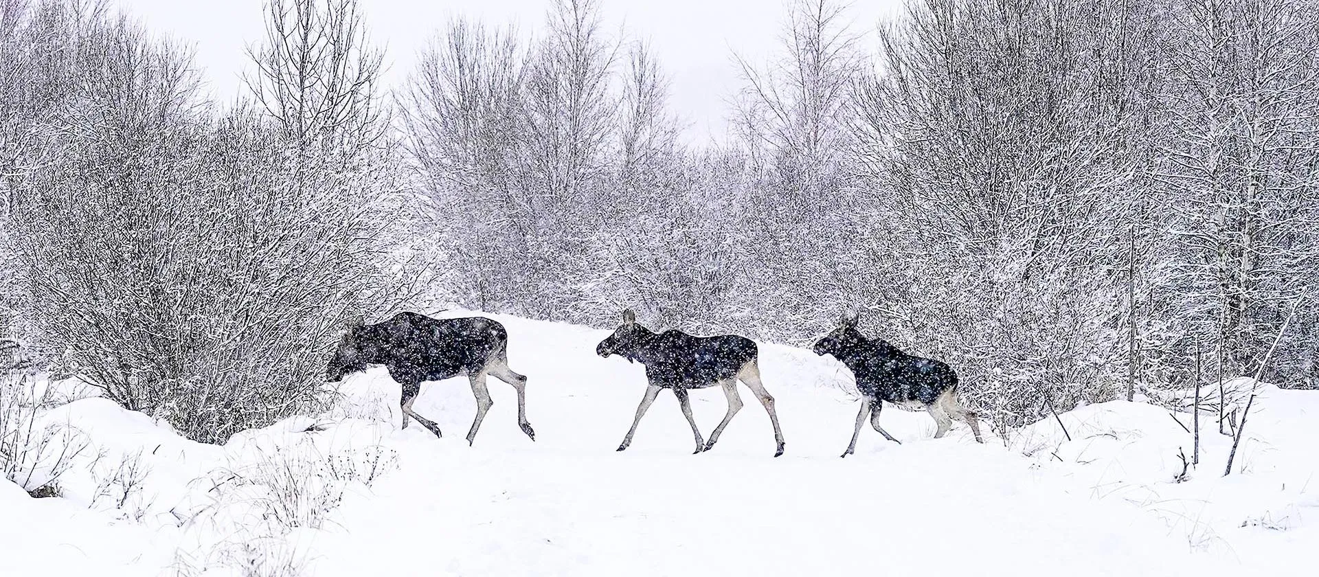 Александр Вильф/РИА Новости