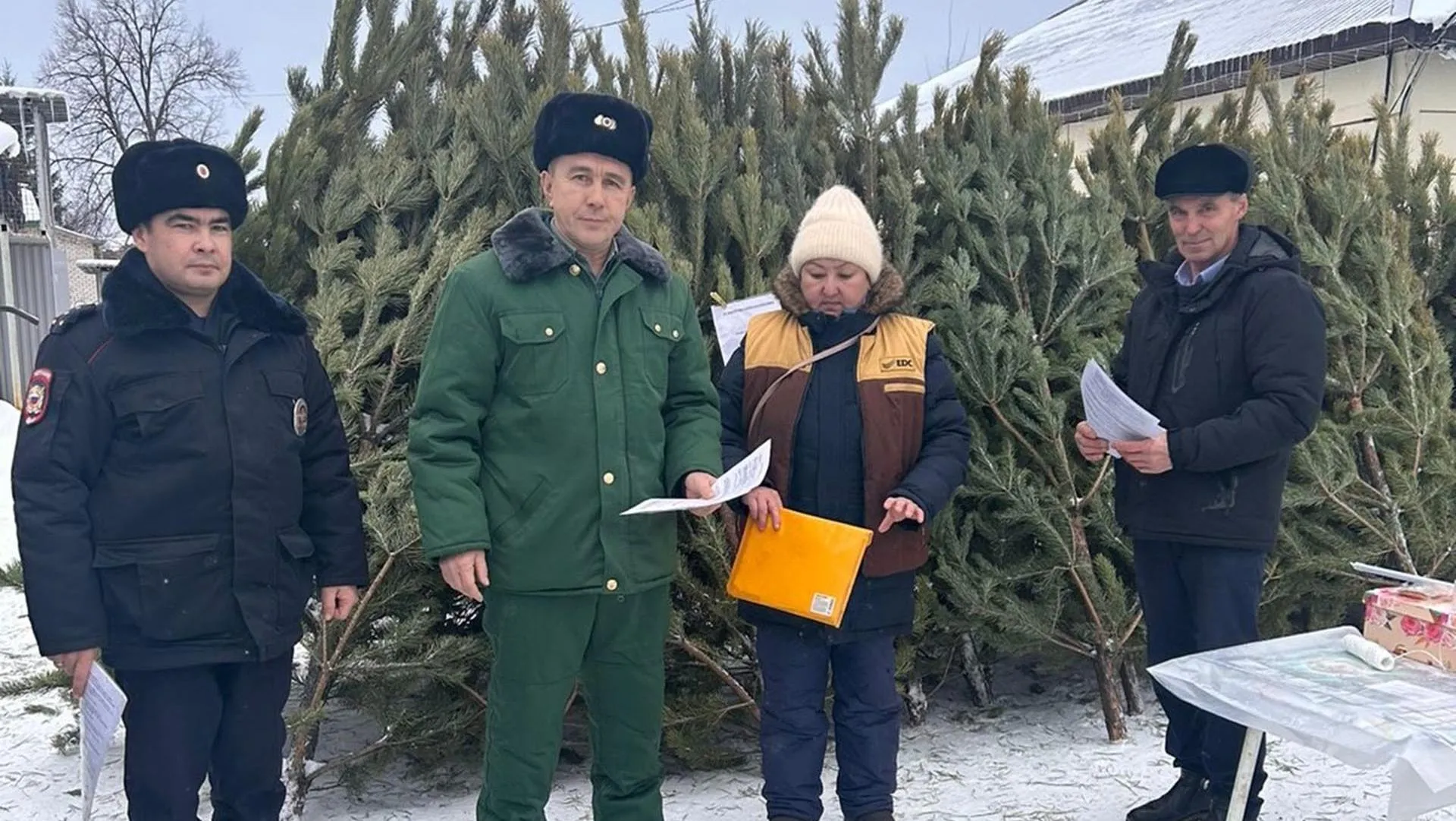 Министерство лесного хозяйства Республики Башкортостан