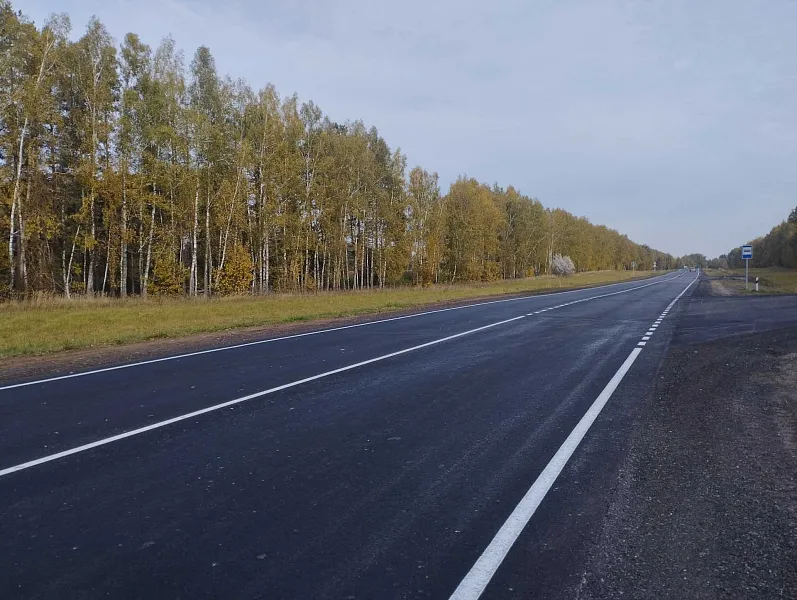 В&nbsp;Брянской области отремонтировали участки дороги к&nbsp;городу Трубчевску