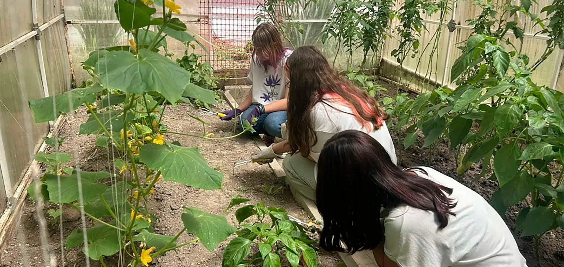 Администрация муниципального образования город Новороссийск