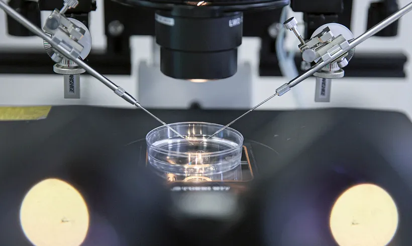 Четыре проекта из&nbsp;Тюменской области вошли в&nbsp;число победителей УМНИК-2025