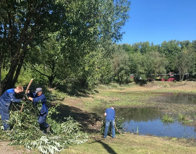 В&nbsp;городе Бийске очистили от&nbsp;мусора берега озера Ковалевского