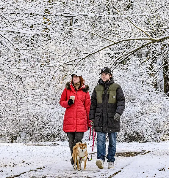 В&nbsp;поселке Безенчук Самарской области благоустроили 3&nbsp;территории