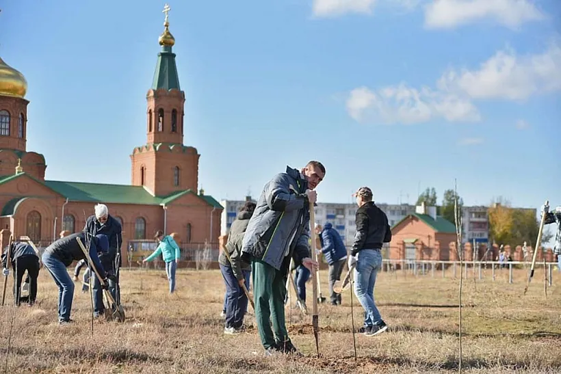 В&nbsp;Волгоградской области высадили более 50&nbsp;тыс. саженцев
