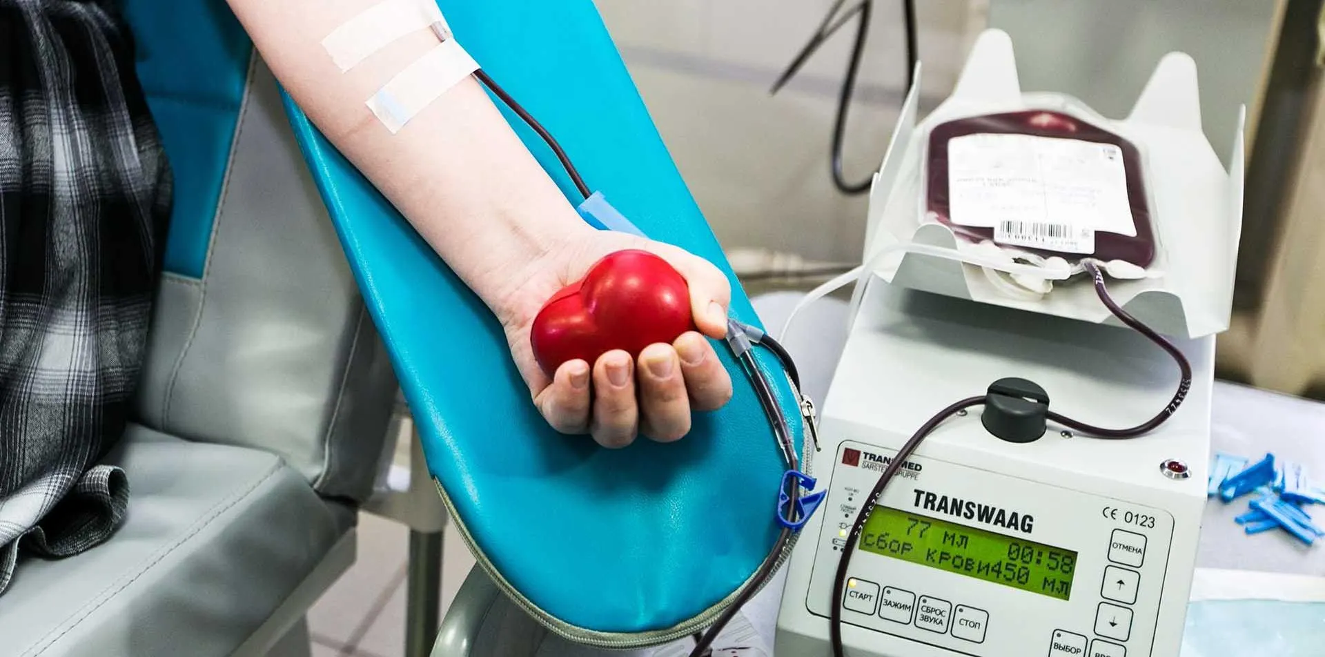 Сергей Медведев/ТАСС