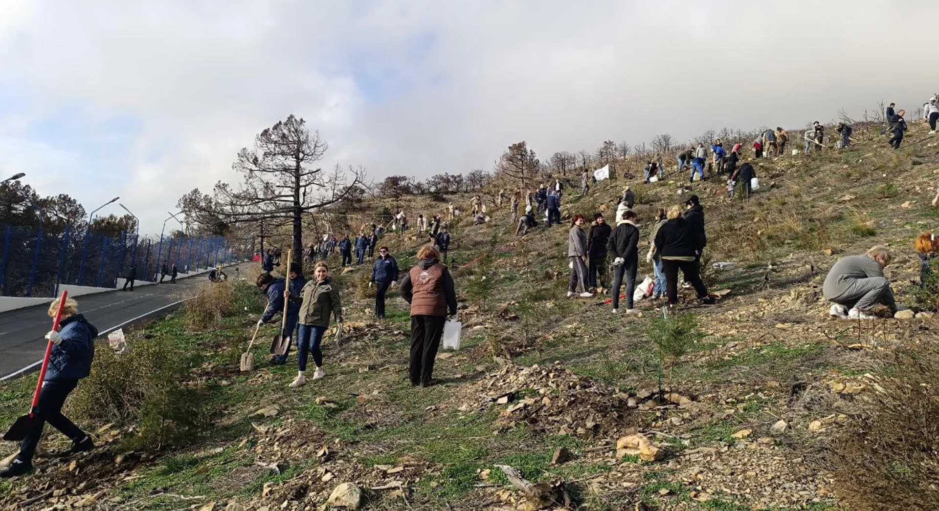 Администрация муниципального образования город Новороссийск