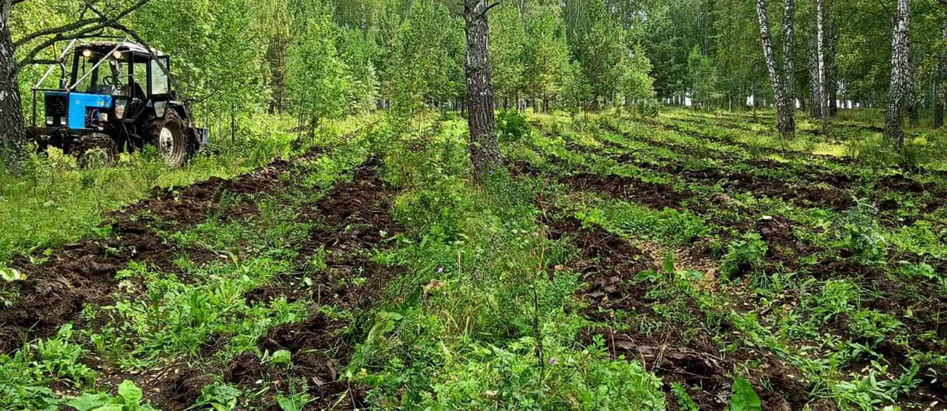 Министерство лесного хозяйства Республики Башкортостан