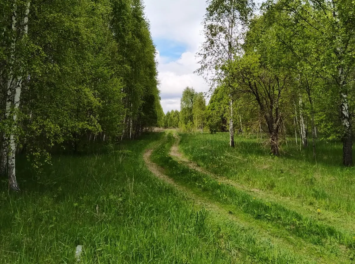 Управление лесами Орловской области