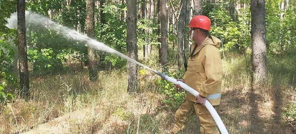 Министерство лесного хозяйства Воронежской области