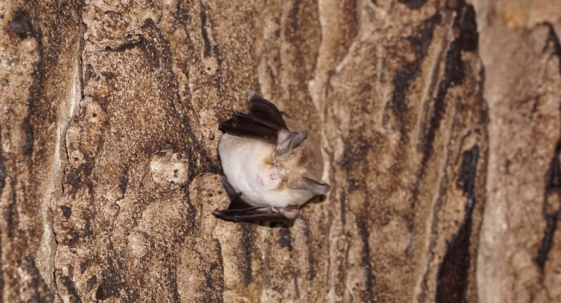 Алексей Данилкин