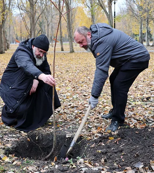 В&nbsp;парке имени Гагарина в&nbsp;Самаре высадили молодые липы