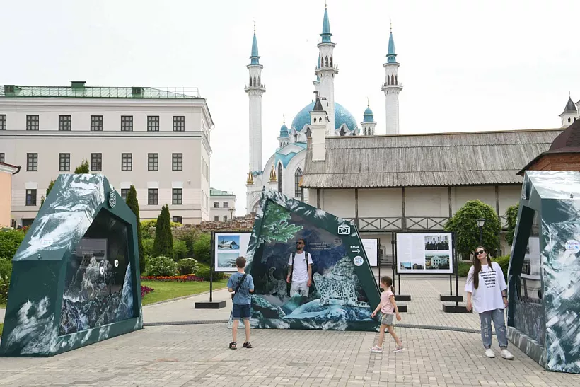 В&nbsp;Казанском кремле открылась выставка &laquo;Ирбис. Кошка-невидимка&raquo;