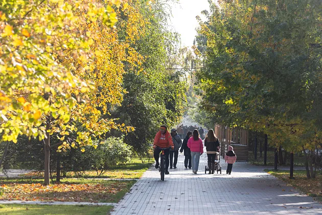 АНО "Центр развития туризма и международного сотрудничества Волгоградской области"