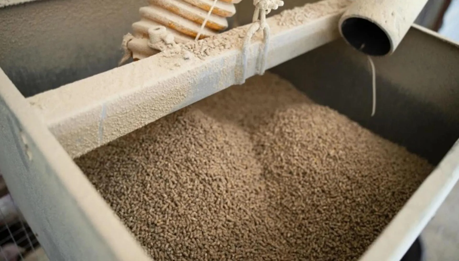 ГАУ ВО "Мой бизнес"