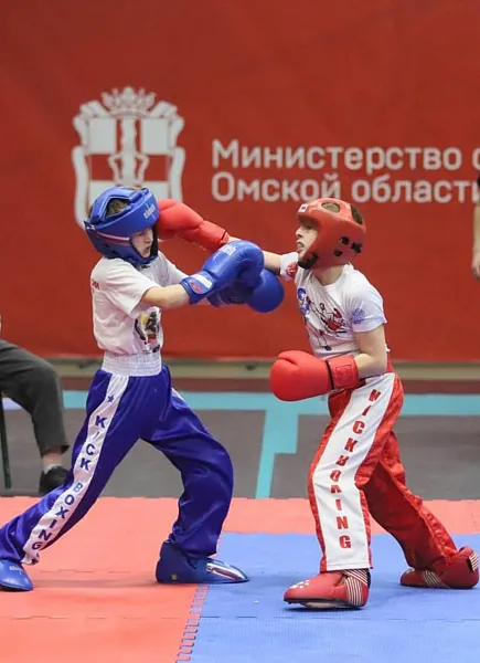 В&nbsp;Омске состоялся Кубок Ермака по&nbsp;кикбоксингу