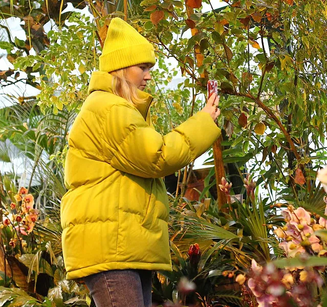 В&nbsp;Санкт-Петербурге создали 20&nbsp;аптекарских огородов с&nbsp;начала года