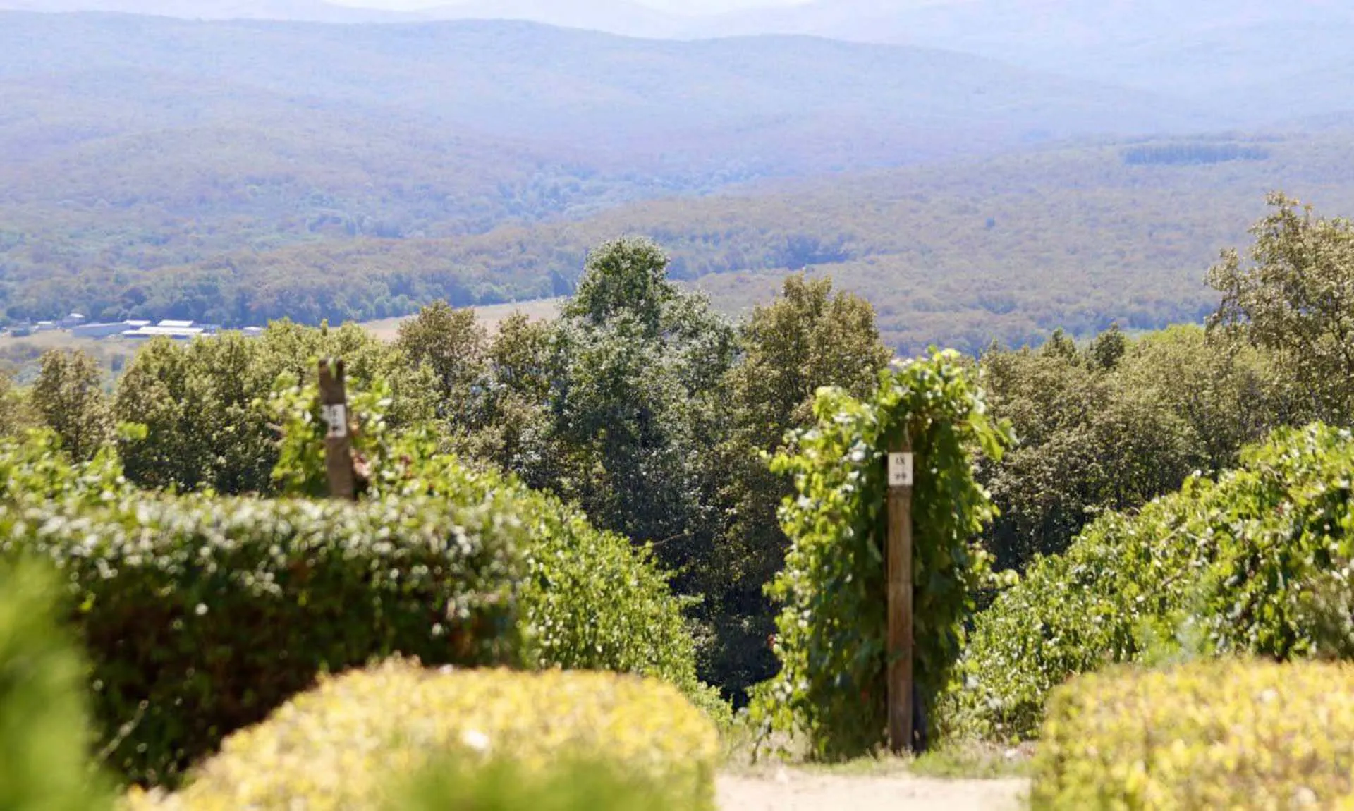 Министерство экономики Краснодарского края