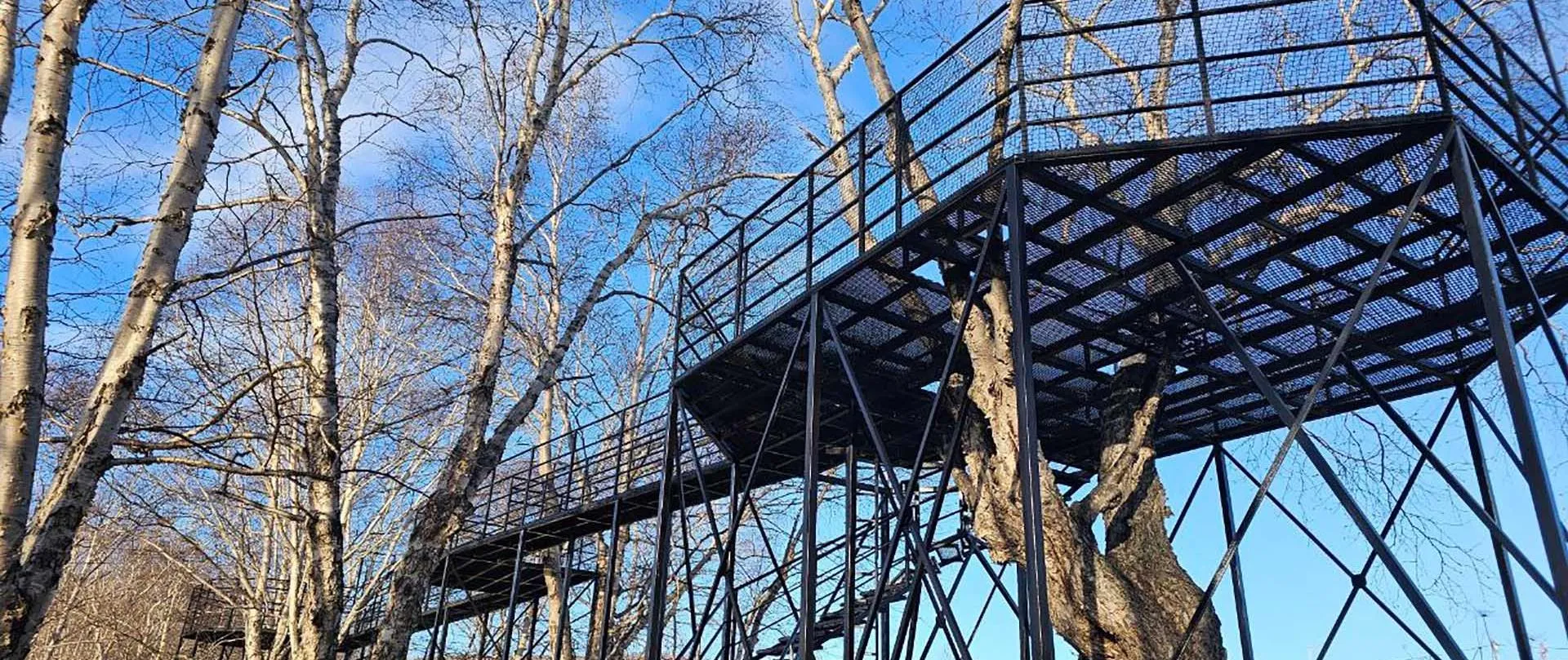 АНО "Камчатский выставочно-инвестиционный центр"