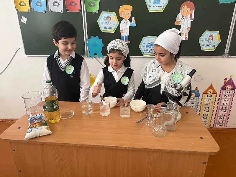 В&nbsp;школе чеченского села Герменчук прошел урок-практикум &laquo;Юный эколог&raquo;