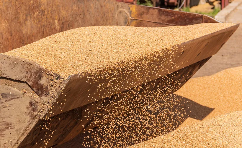 Иркутская область за&nbsp;пять лет увеличила экспорт продукции АПК на&nbsp;30%