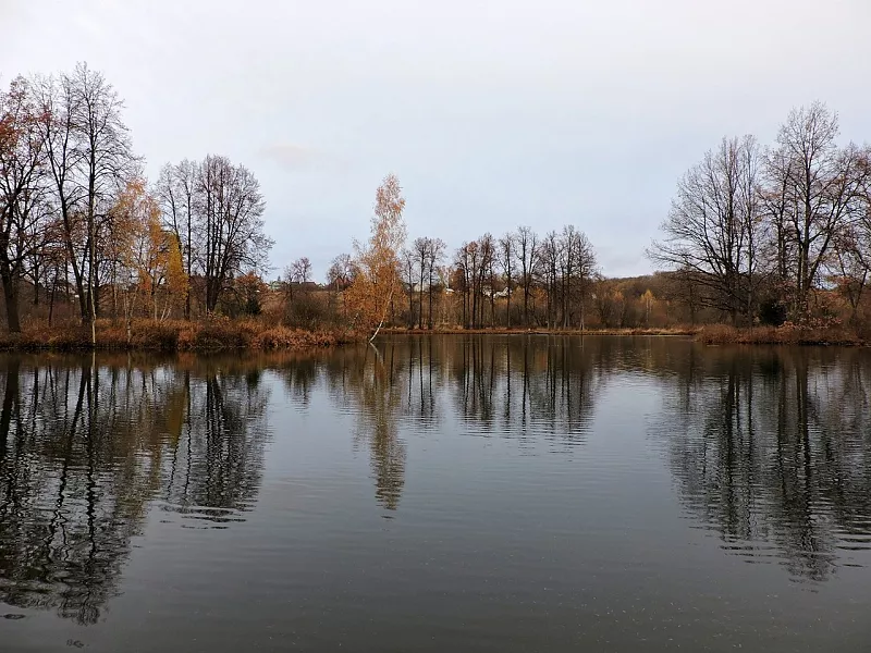 В&nbsp;Подмосковье определили границы памятника природы &laquo;Парк Середниково&raquo;