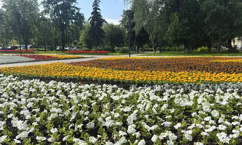 В&nbsp;Нижнем Новгороде создадут более 560&nbsp;новых цветников