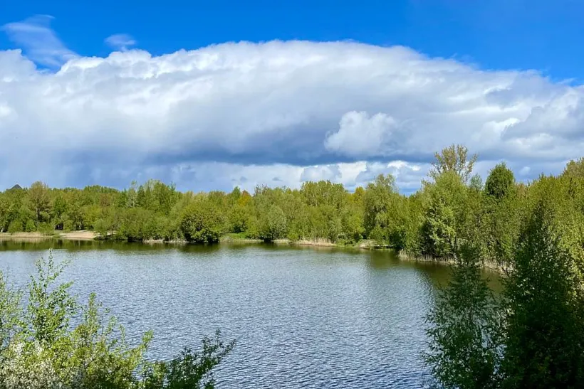 В&nbsp;Нижнем Новгороде создадут экотропу