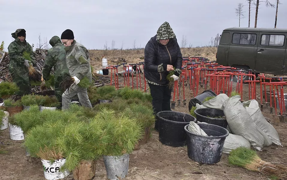 Министерство природных ресурсов, экологии и охраны окружающей среды Республики Марий Эл