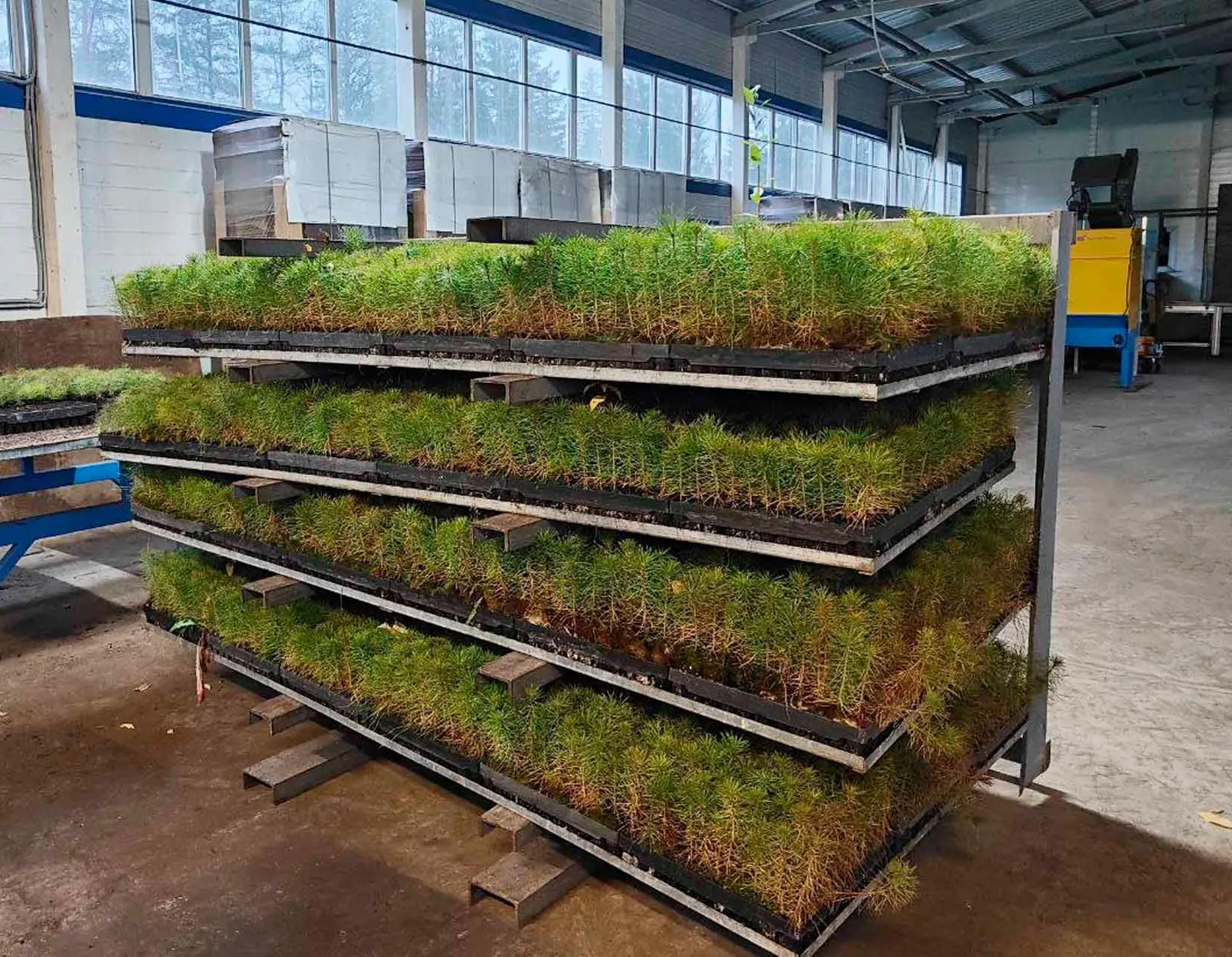 Управление пресс-службы Губернатора и Правительства Ленинградской области