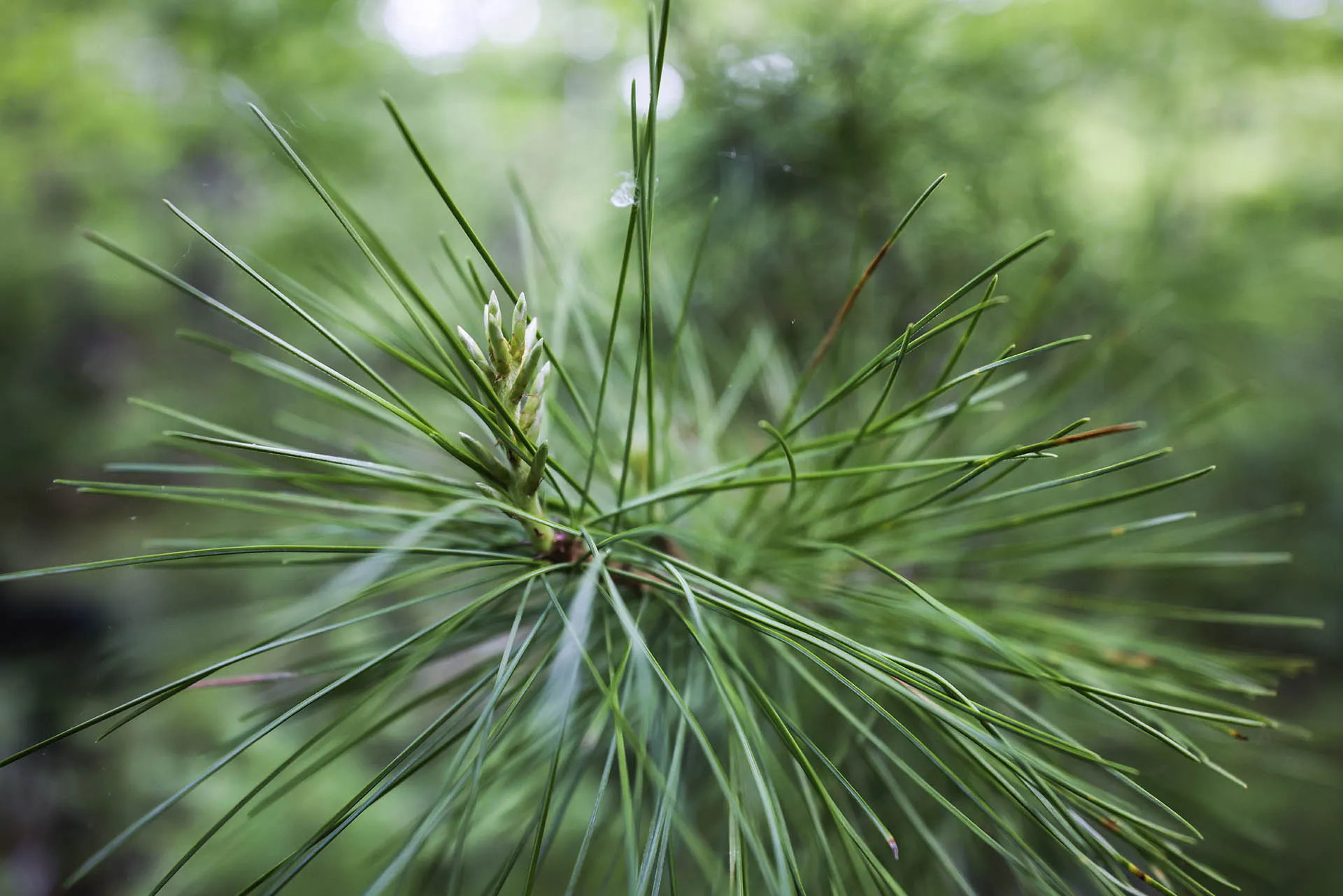 Юрий Смитюк/ТАСС