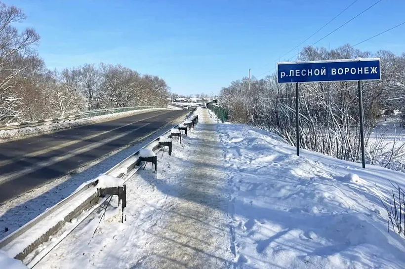 В&nbsp;Тамбовской области отремонтируют мост через реку Лесной Воронеж