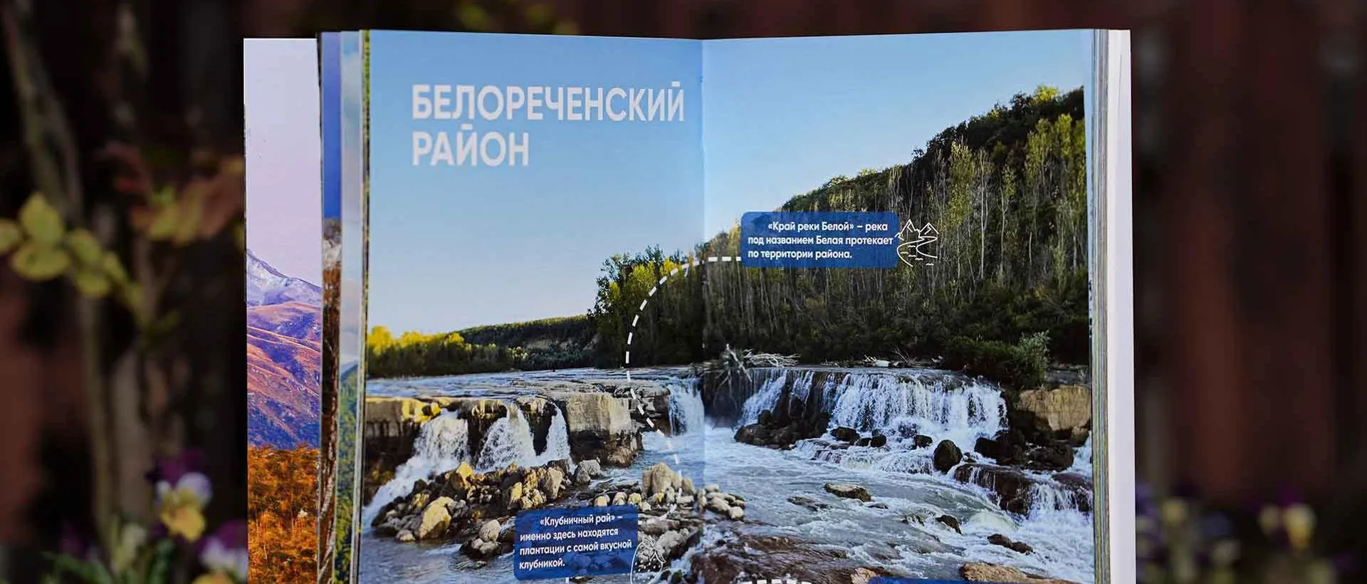 Министерство курортов, туризма и олимпийского наследия Краснодарского края