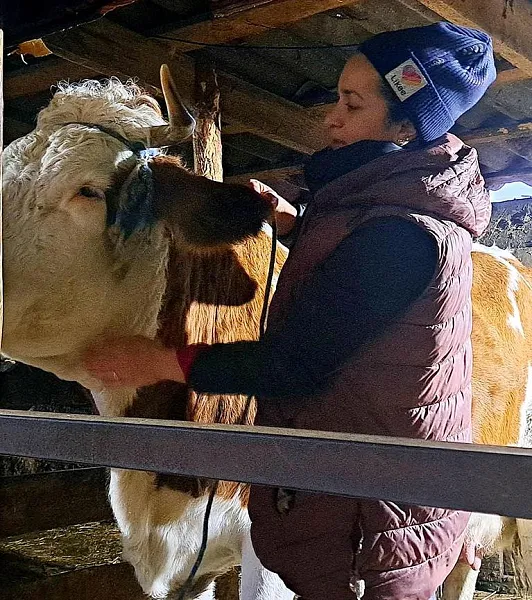 В&nbsp;Воронежской области за&nbsp;год заключили более 3,5&nbsp;тысячи соцконтрактов