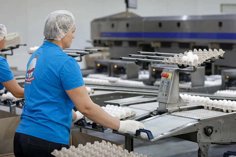 Воронежская птицефабрика увеличит производительность на&nbsp;30%