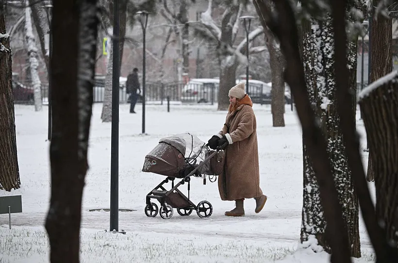 Стал известен размер материнского капитала в&nbsp;2026&nbsp;году