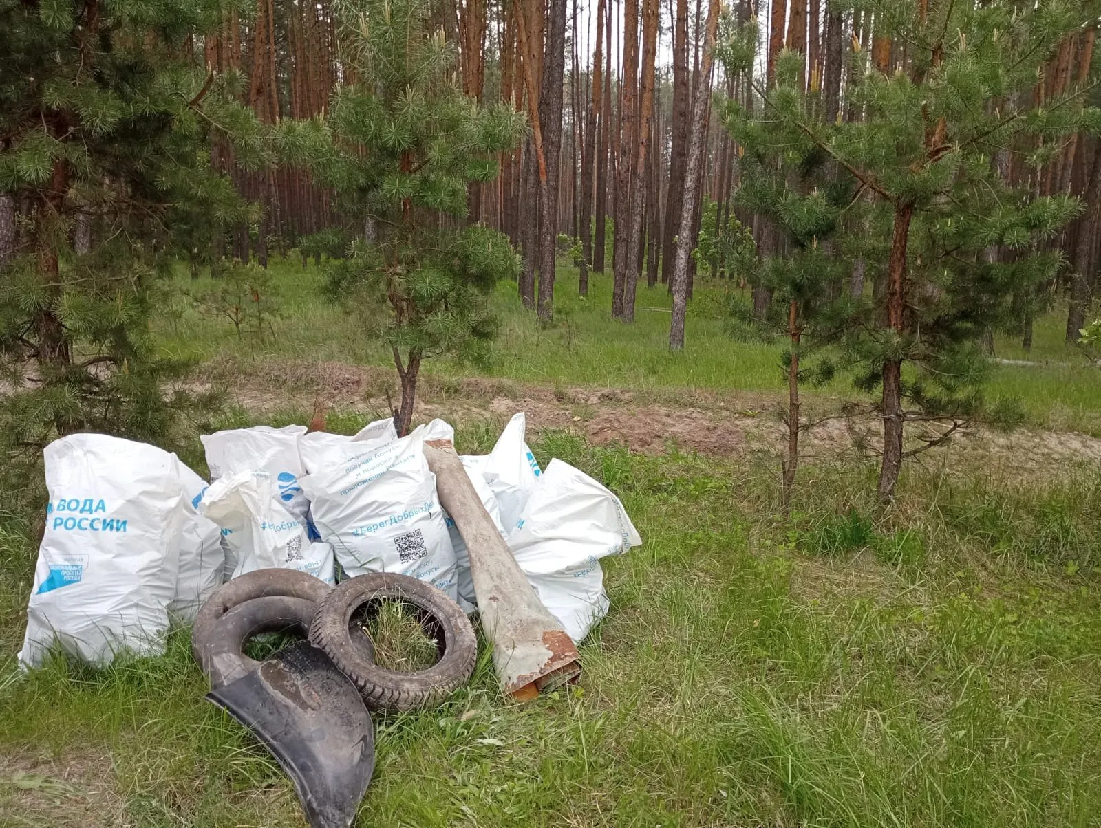 Министерство природных ресурсов Курской области